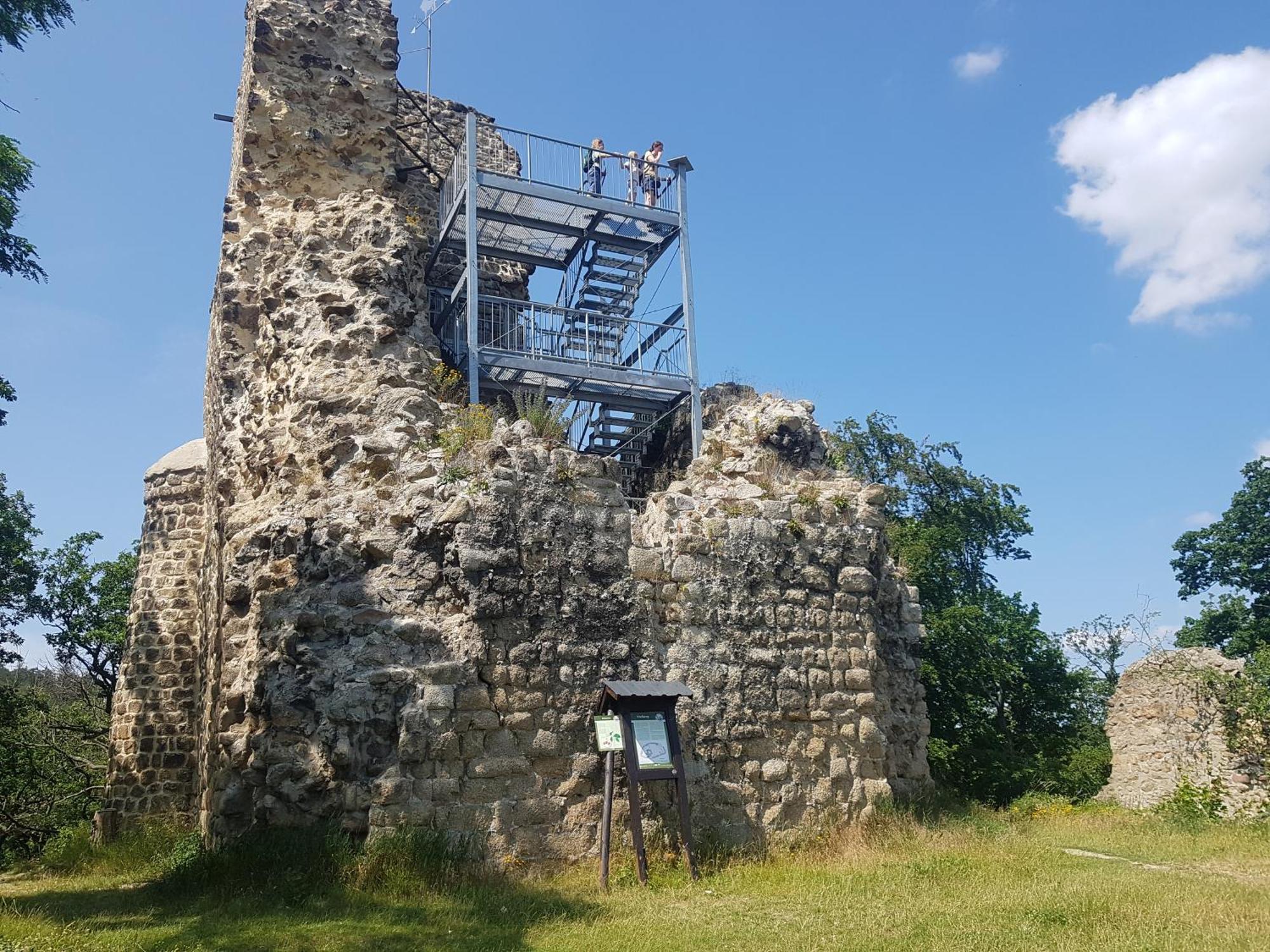 Ferienhaus Renate 7 Thale Esterno foto